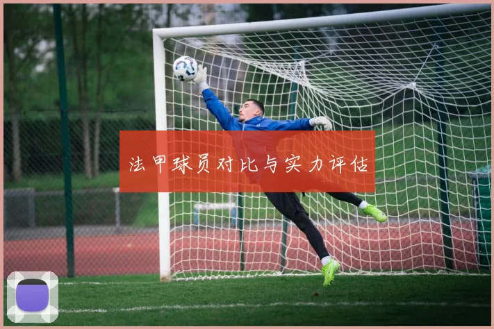 法甲球员对比与实力评估